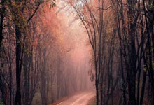 埃瓦尔遭遇连败，亟需调整状态，涅槃重生还是跌入深渊？