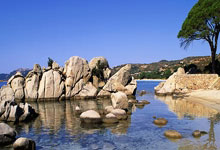 埃瓦尔遭遇连败，亟需调整状态，涅槃重生还是跌入深渊？