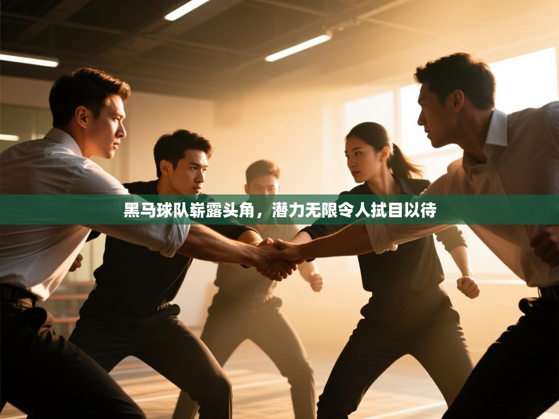 黑马球队崭露头角，潜力无限令人拭目以待  第1张